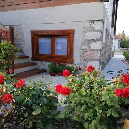 Dana Apartmani Kolašin المظهر الخارجي الصورة