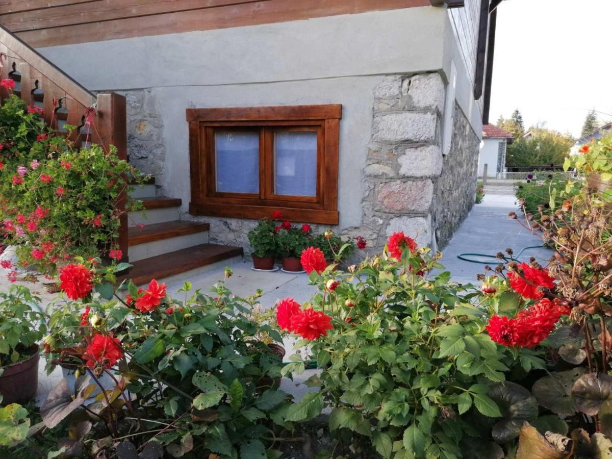 Dana Apartmani Kolašin المظهر الخارجي الصورة